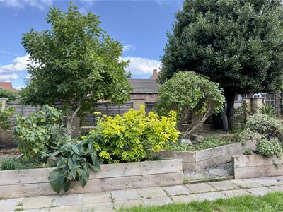 Picture 20